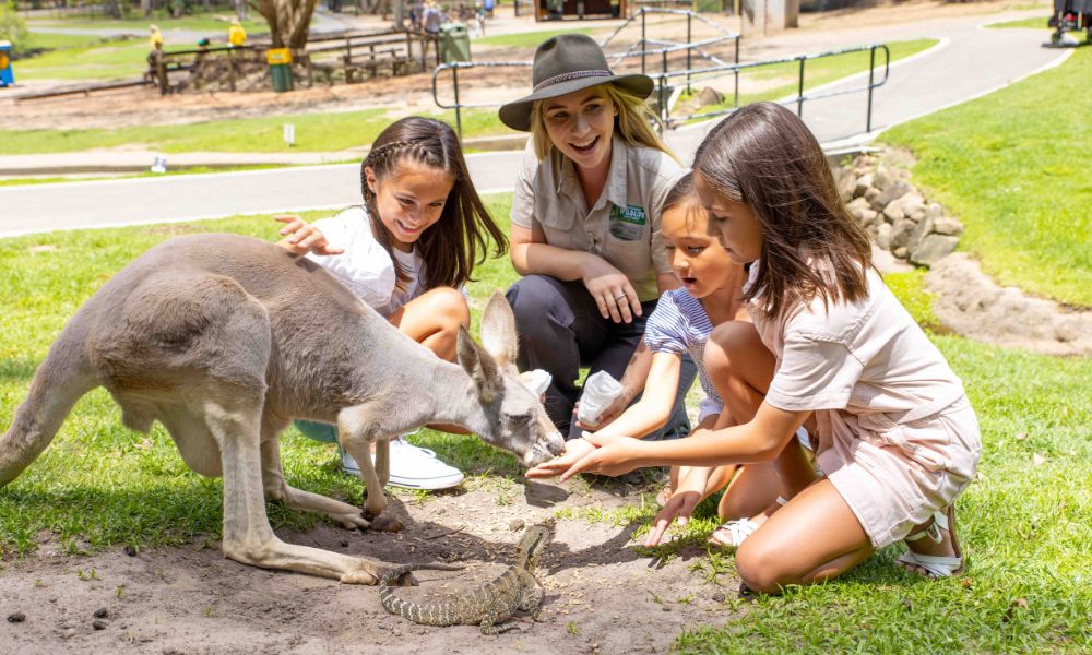 Currumbin Wildlife Sanctuary